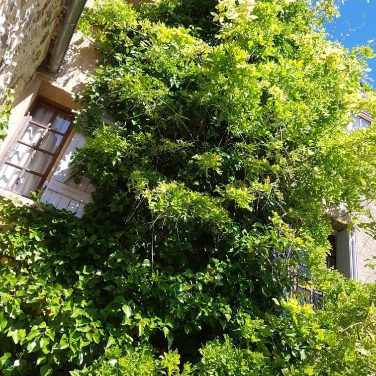 شقة Le Balcon Camps-sur-l'Agly المظهر الخارجي الصورة